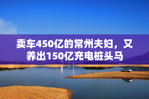 卖车450亿的常州夫妇，又养出150亿充电桩头马