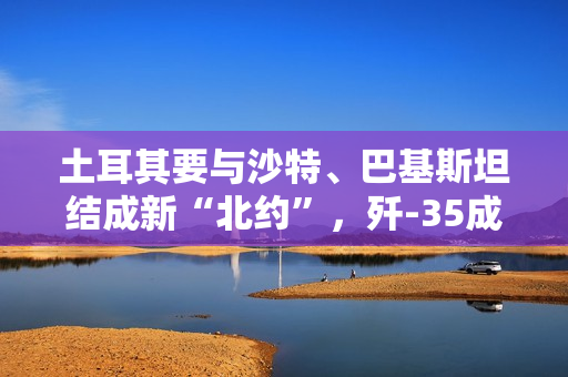土耳其要与沙特、巴基斯坦结成新“北约”,歼-35成终极砝码? 土耳其要与沙特、巴基斯坦结成新“北约”,歼-35成终极砝码?