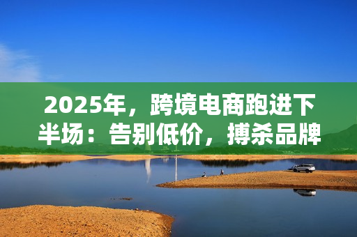 2025年，跨境电商跑进下半场：告别低价，搏杀品牌