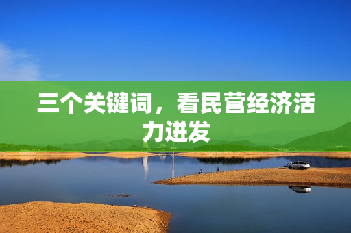 三个关键词，看民营经济活力迸发