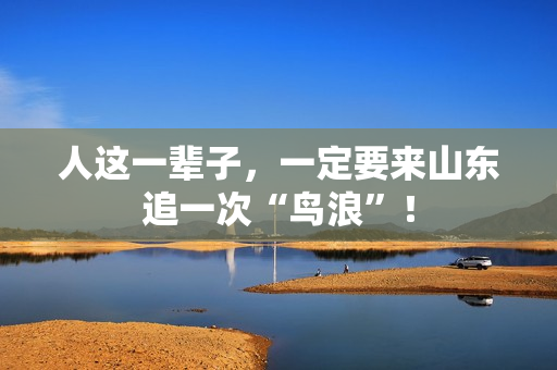 人这一辈子，一定要来山东追一次“鸟浪”！