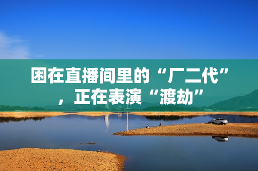 困在直播间里的“厂二代”，正在表演“渡劫”