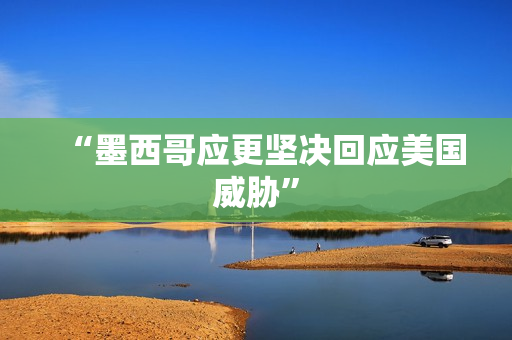 “墨西哥应更坚决回应美国威胁”