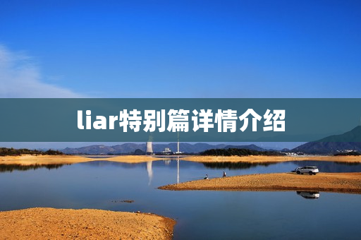 liar特别篇详情介绍 liar特别篇详情介绍