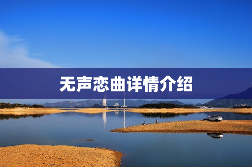 无声恋曲详情介绍