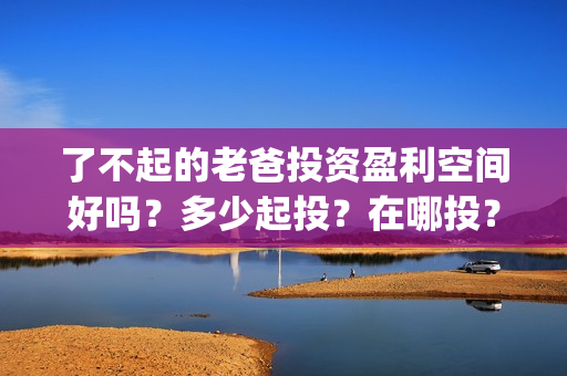 了不起的老爸投资盈利空间好吗？多少起投？在哪投？(了不起的老爸剧情解说)