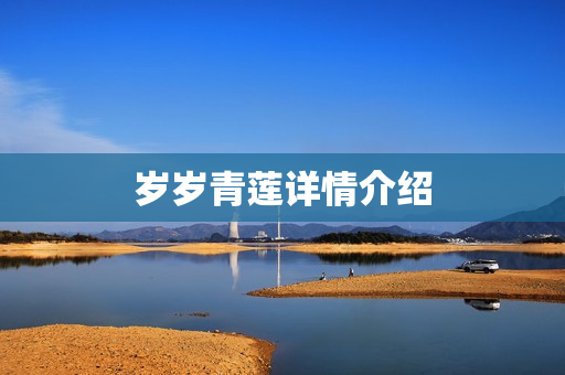 岁岁青莲详情介绍