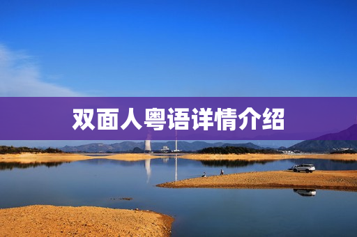 双面人粤语详情介绍