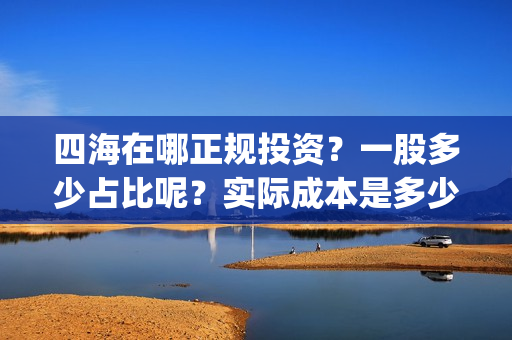 四海在哪正规投资？一股多少占比呢？实际成本是多少？(四海在哪正规投标公司)