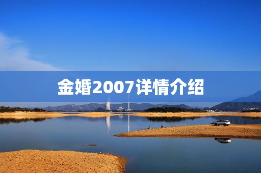 金婚2007详情介绍