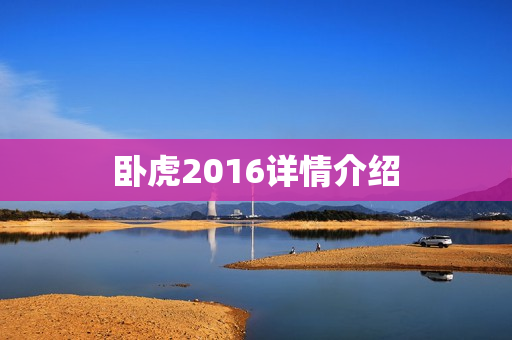 卧虎2016详情介绍