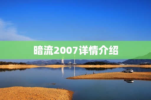暗流2007详情介绍