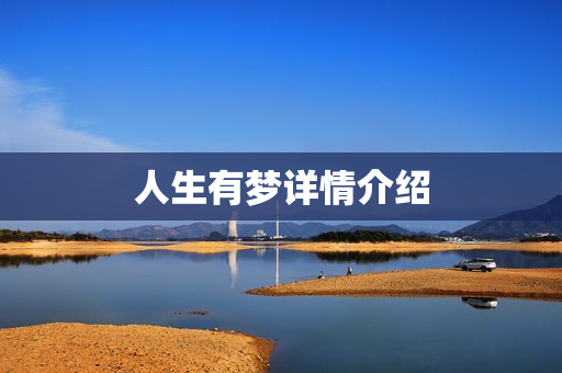 人生有梦详情介绍