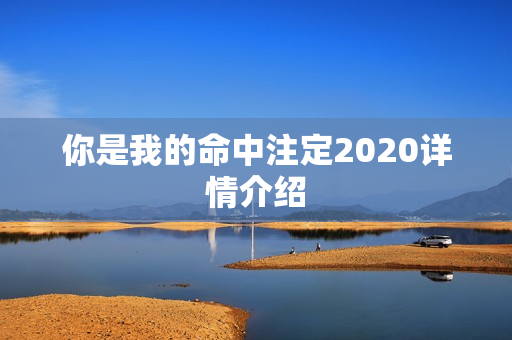 你是我的命中注定2020详情介绍