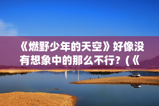 《燃野少年的天空》好像没有想象中的那么不行？(《燃野少年的天空》续集)