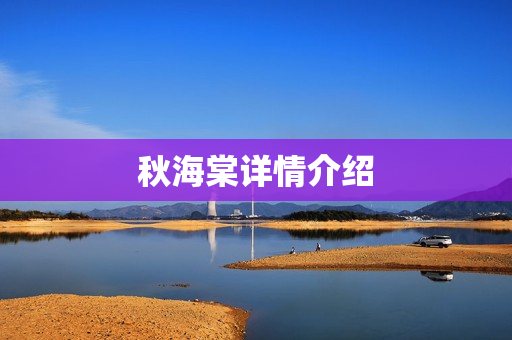 秋海棠详情介绍