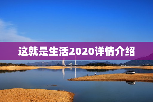 这就是生活2020详情介绍