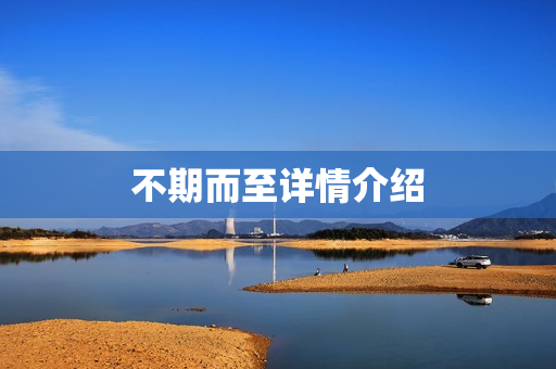 不期而至详情介绍