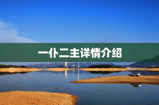 一仆二主详情介绍