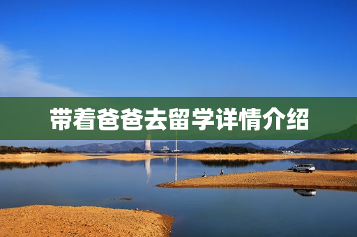 带着爸爸去留学详情介绍