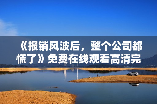 《报销风波后，整个公司都慌了》免费在线观看高清完整版