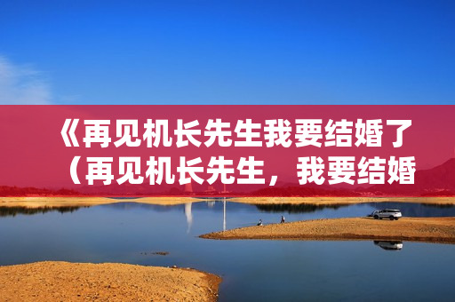 《再见机长先生我要结婚了（再见机长先生，我要结婚了）》免费在线观看高清完整版