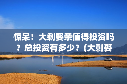 惊呆！大剩娶亲值得投资吗？总投资有多少？(大剩娶亲有哪个公司出品)