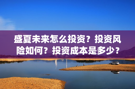 盛夏未来怎么投资？投资风险如何？投资成本是多少？(盛夏未来怎么投资)
