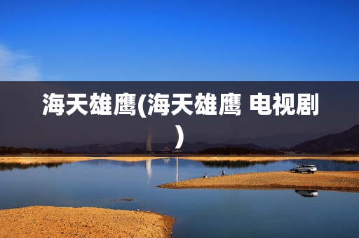海天雄鹰(海天雄鹰 电视剧)