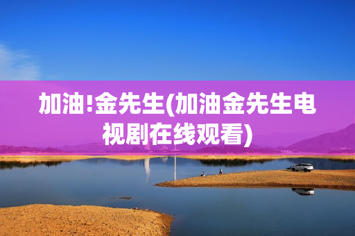 加油!金先生(加油金先生电视剧在线观看)