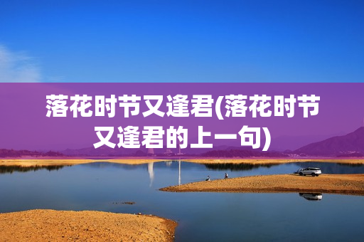 落花时节又逢君(落花时节又逢君的上一句)