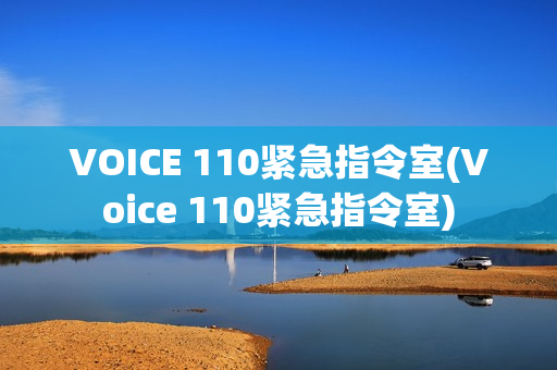 VOICE 110紧急指令室(Voice 110紧急指令室)