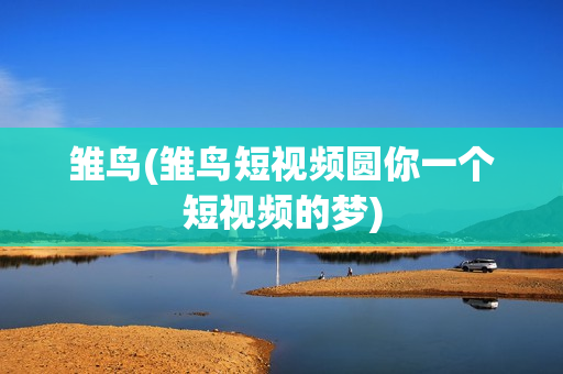 雏鸟(雏鸟短视频圆你一个短视频的梦)