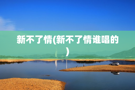 新不了情(新不了情谁唱的)