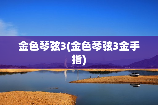 金色琴弦3(金色琴弦3金手指)