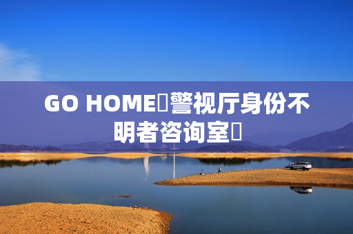 GO HOME〜警视厅身份不明者咨询室〜