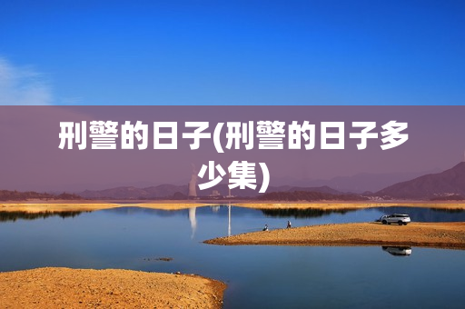 刑警的日子(刑警的日子多少集)