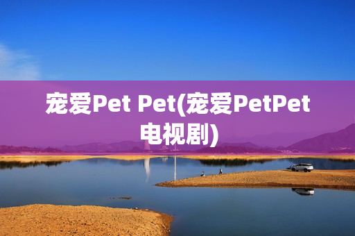 宠爱Pet Pet(宠爱PetPet电视剧)