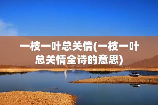 一枝一叶总关情(一枝一叶总关情全诗的意思)