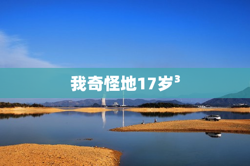 我奇怪地17岁³
