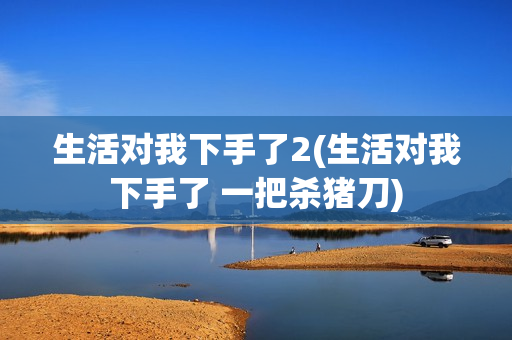 生活对我下手了2(生活对我下手了 一把杀猪刀)