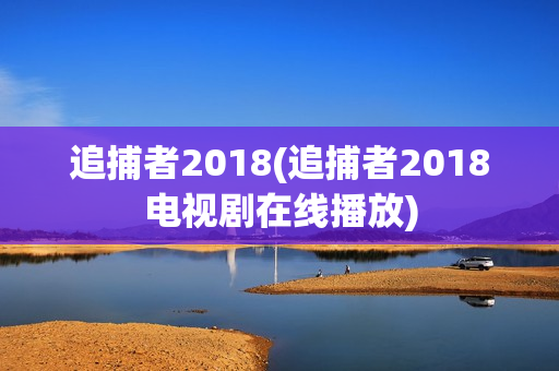追捕者2018(追捕者2018电视剧在线播放)
