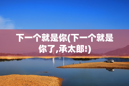 下一个就是你(下一个就是你了,承太郎!)