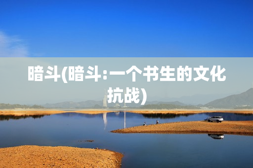 暗斗(暗斗:一个书生的文化抗战)