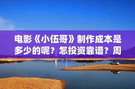 电影《小伍哥》制作成本是多少的呢？怎投资靠谱？周期是多久的呢？(小伍哥在线观看)