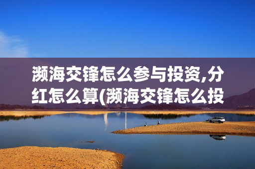 濒海交锋怎么参与投资,分红怎么算(濒海交锋怎么投)