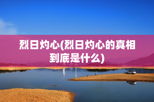 烈日灼心(烈日灼心的真相到底是什么)