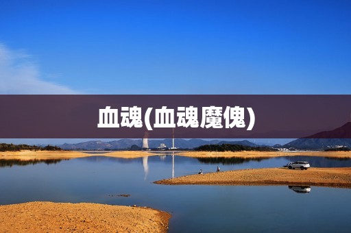 血魂(血魂魔傀)