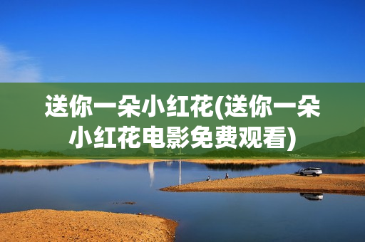 送你一朵小红花(送你一朵小红花电影免费观看)