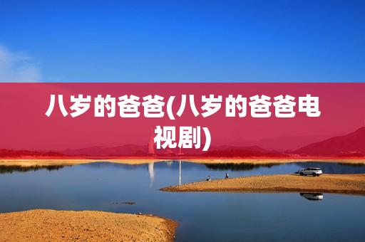 八岁的爸爸(八岁的爸爸电视剧)